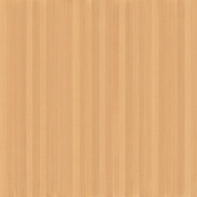 Teak Wood Grain