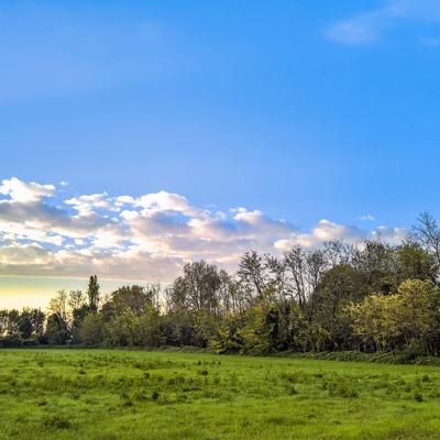 Rural landscape landscape