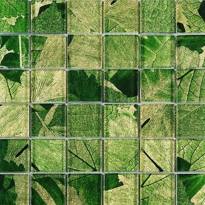 Plant mosaic brick