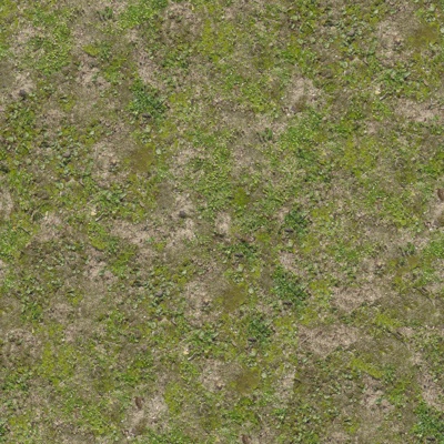 Grassland_Turf_Lawn_Grass Slope_Grass