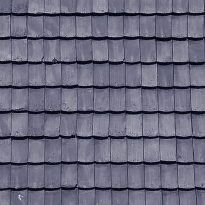 Blue Fish Scale Tile Roof Roof