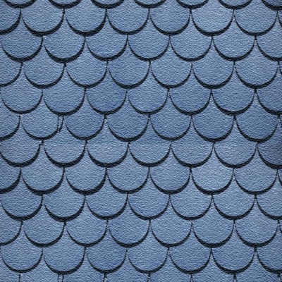 Blue Fish Scale Tile Roof Roof