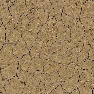 Seamless Yellow Dry Cracked Soil Ground Road