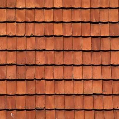 Red Fish Scale Tile Roof Roof