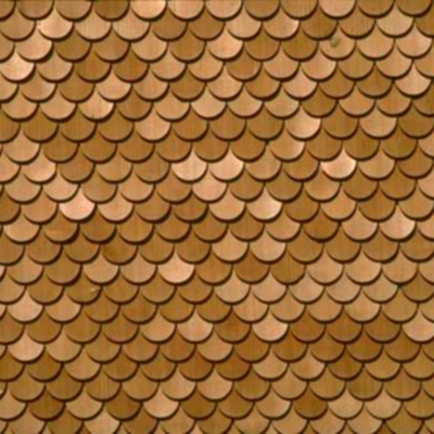 Brown Fish Scale Tile Roof Roof