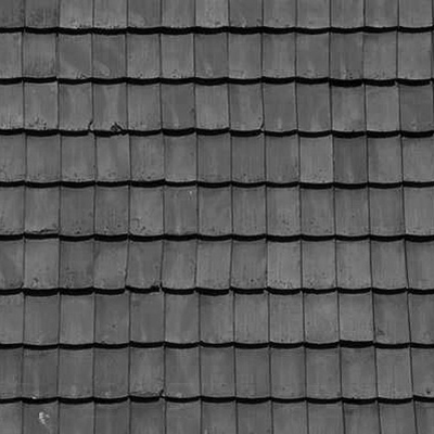 Black Fish Scale Tile Roof Roof