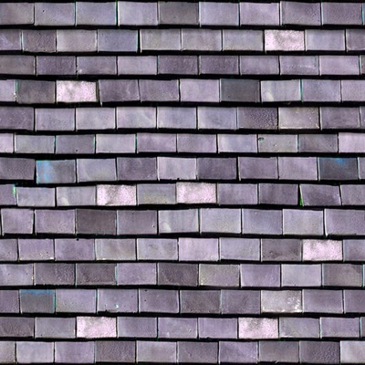 Gray blue fish scale tile roof