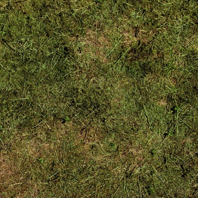 grass turf lawn