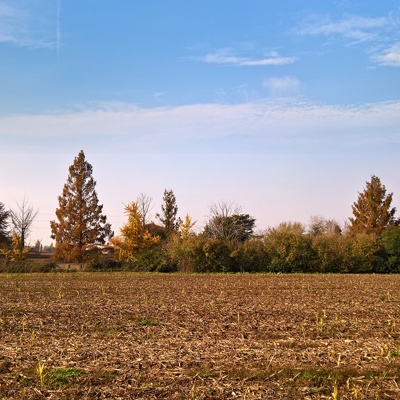 Rural landscape landscape