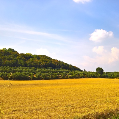 Rural landscape landscape