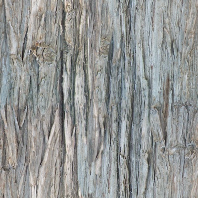 Seamless cracked dry bark trunk texture