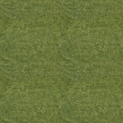 Seamless grass lawn turf ground