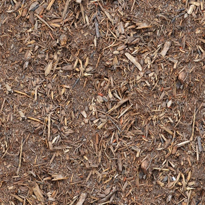 Seamless leaves, litter, soil, sandy ground