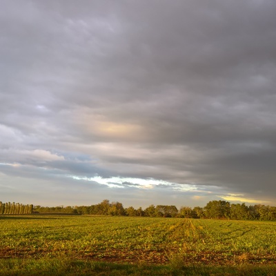 Rural landscape landscape