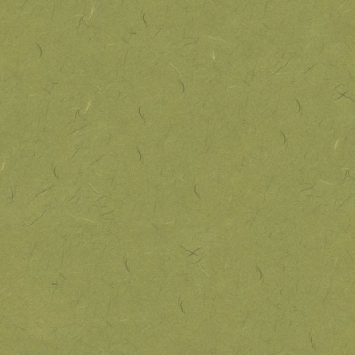 Seamless gold and silver silk pattern light green cover paper leather paper cardboard wallpaper