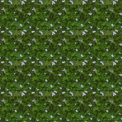 HD Natural Green Plant Wall Green Shrub Grass Grass Greening Turf Ground