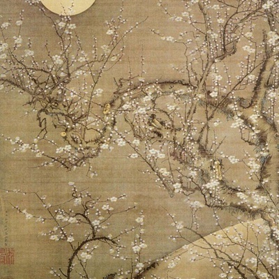 Chinese plum blossom