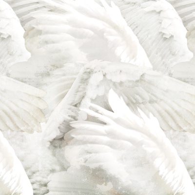 White Wings Wallpaper