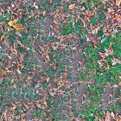 Seamless litter turf lawn ground