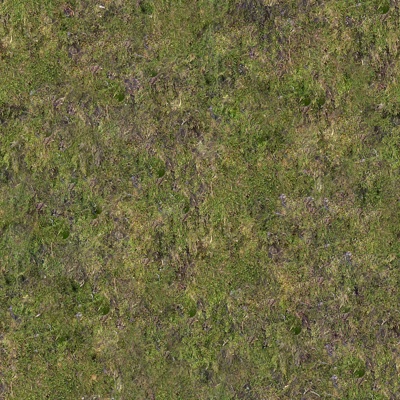 Seamless moss turf lawn ground