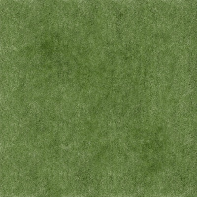 lawn turf ground grass green plant ground