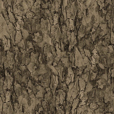 bark wood grain