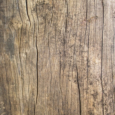 old wood wood grain