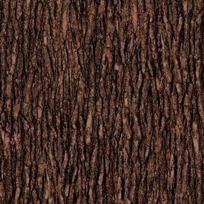 bark