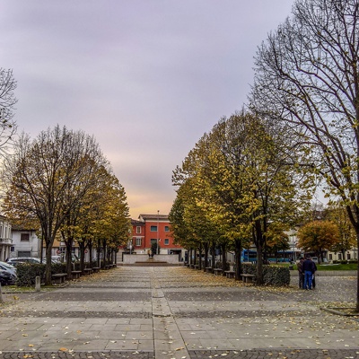 Autumn trees street pavement scenery