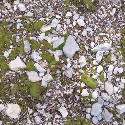 Seamless moss gravel ground