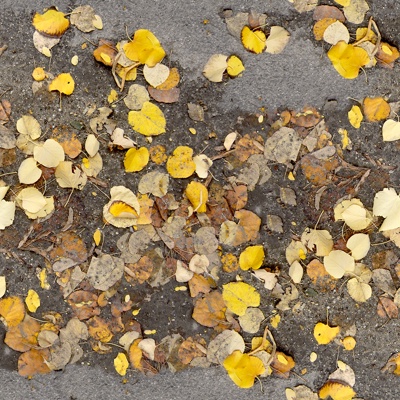 Seamless yellow dead branches and deciduous leaves turf grass lawn road ground