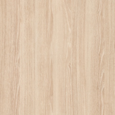 Maple wood grain