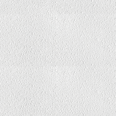 White Texture Paint Wall Coating