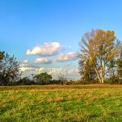 Rural landscape landscape