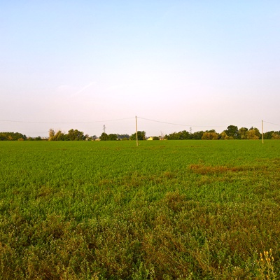 Rural landscape landscape