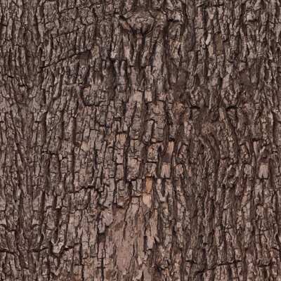 bark