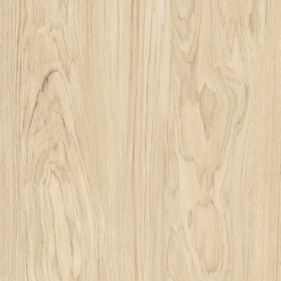 Gold silk elm wood grain wood veneer