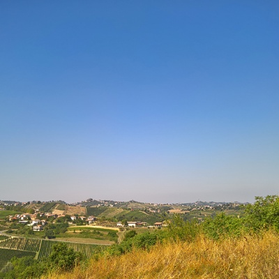 Rural landscape landscape