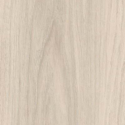 Maple wood grain