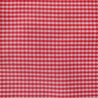 Modern Check Fabric