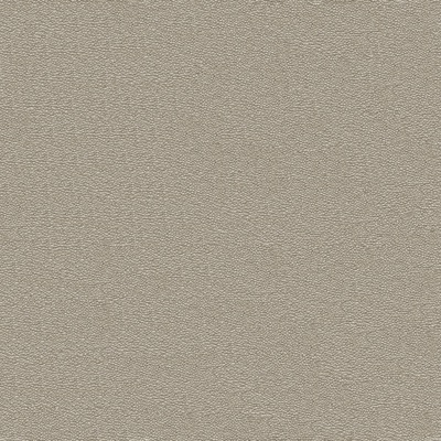 Modern warm gray fine grain leather