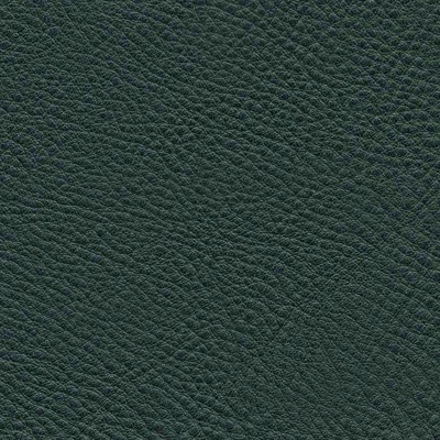 Seamless Green Pebbled Leather