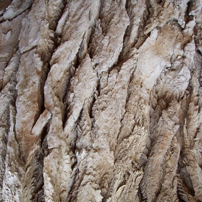 bark