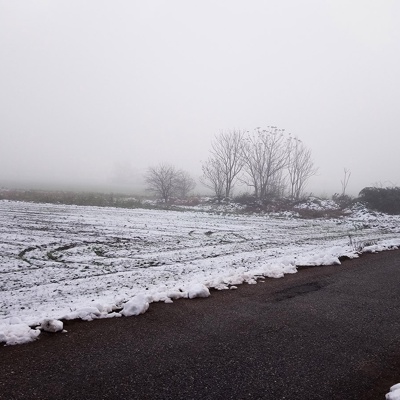 Rural landscape landscape