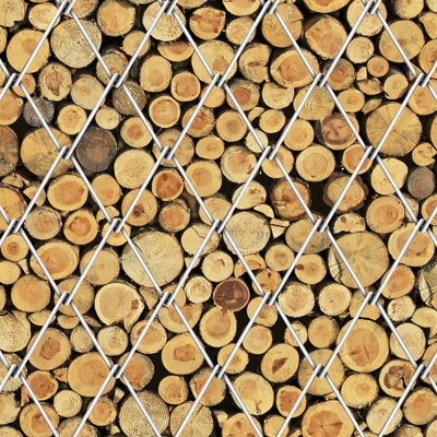 Seamless wood log section texture