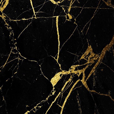 Black Golden Flower Marble Black Marble