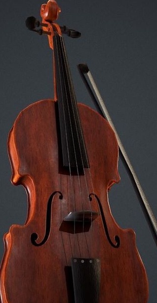 Stringed instrument violin