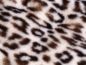 Carpet-Animal Blanket 062