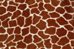 Carpet-Animal Blanket 084