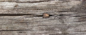 Wood-Old Wood (156)